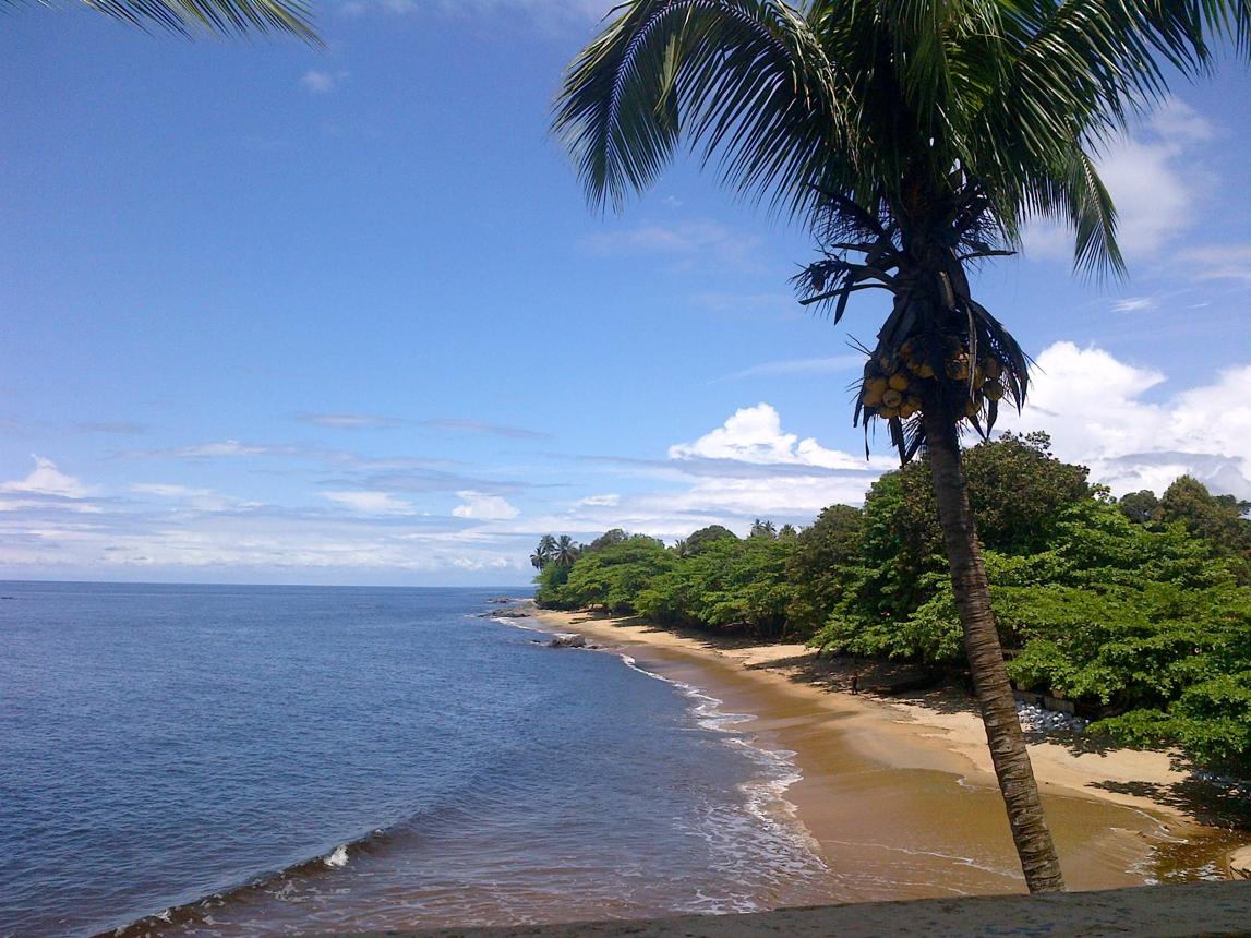 Discover Cameroon's Top Destinations with a Private Chauffeur from Cameroon Green Horizon
