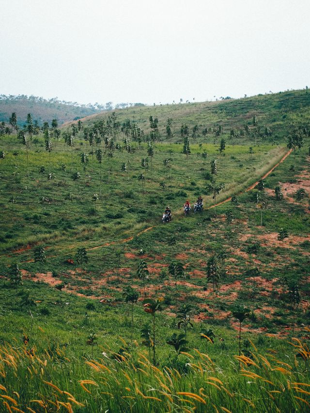 Tour to the hill station