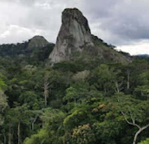 Yaounde → Ebolowa