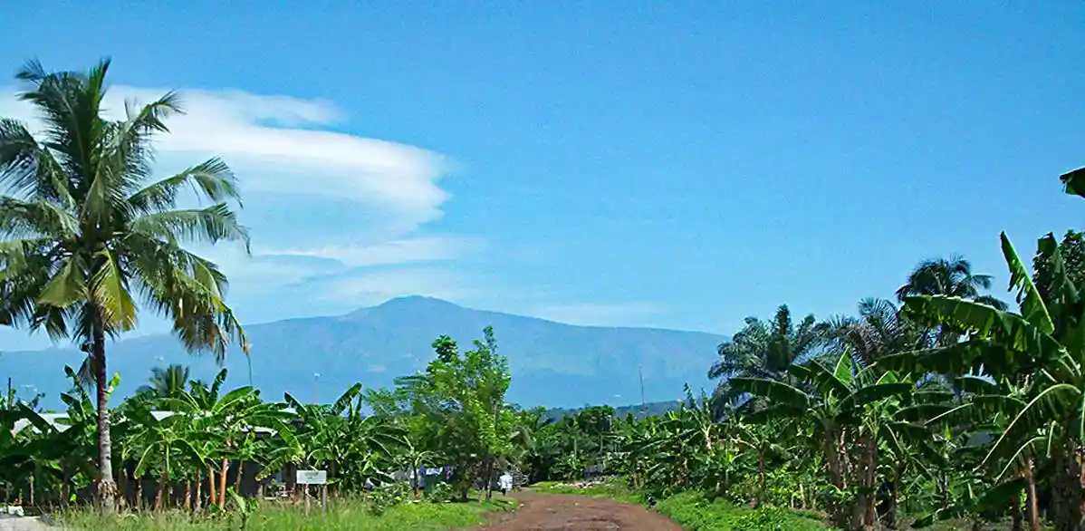 Yaounde → Fako